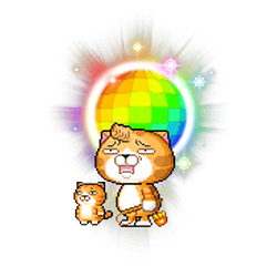 B1010猫猫