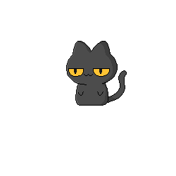 B1013黑猫
