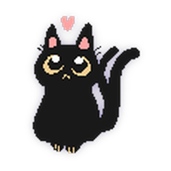 B1014黑猫