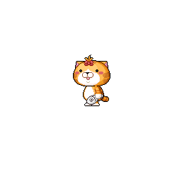 B1218猫