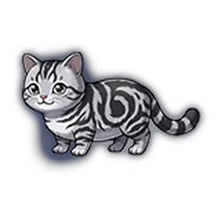 B1429猫猫