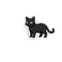 B1574黑猫