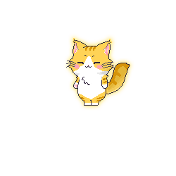 B579猫猫