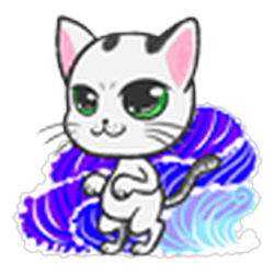 B874猫猫